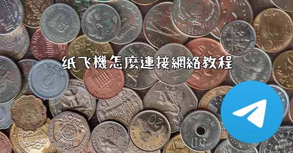纸飞機怎麼連接網絡教程