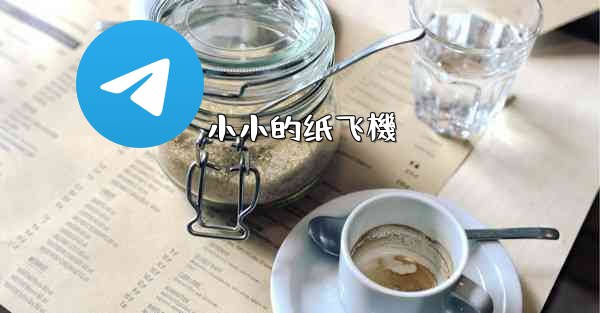 小小的纸飞機