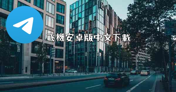 飞機安卓版中文下載