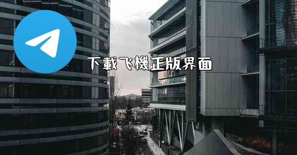 下載飞機正版界面