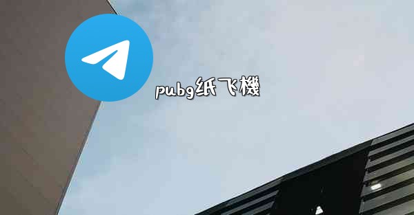 pubg纸飞機