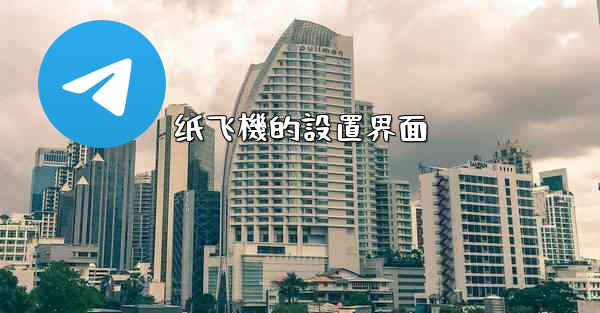 纸飞機的設置界面