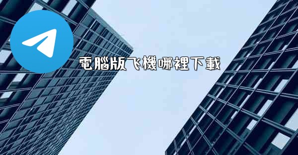 電腦版飞機哪裡下載