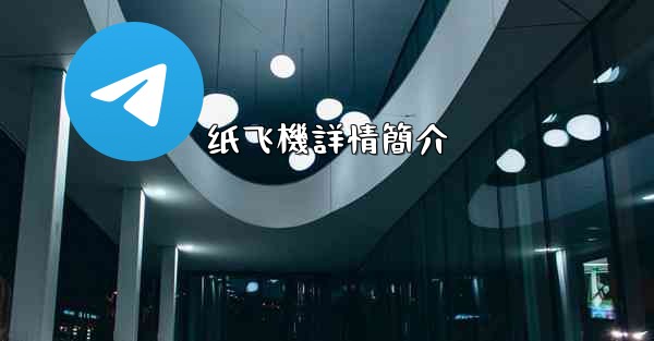 纸飞機詳情簡介