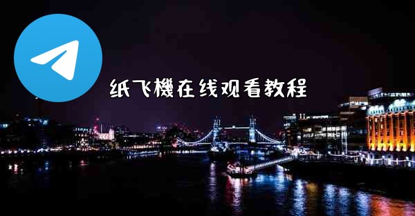 纸飞機在线观看教程