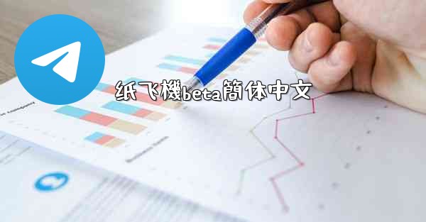 纸飞機beta簡体中文
