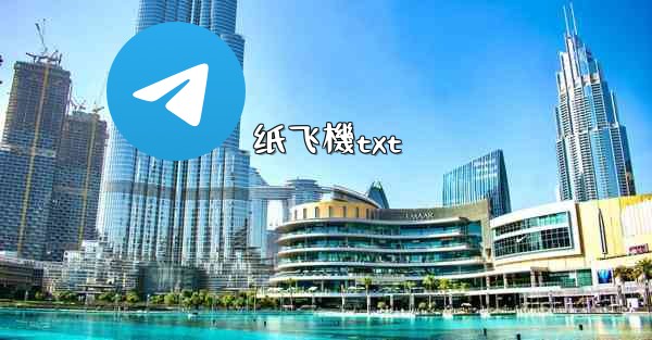 纸飞機txt
