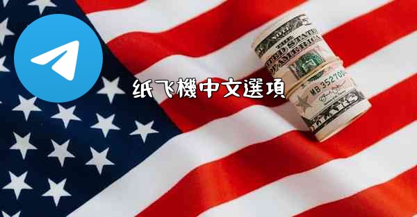 纸飞機中文選項