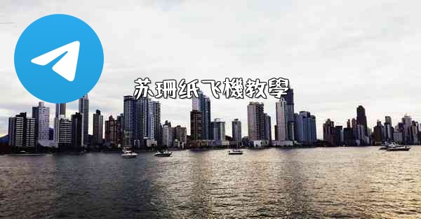 苏珊纸飞機教學