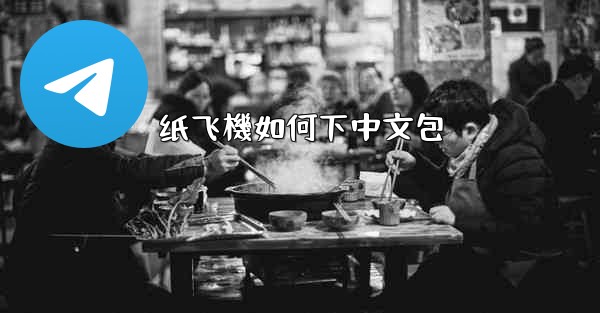 纸飞機如何下中文包