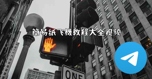 簡易纸飞機教程大全视频