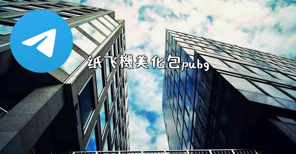 纸飞機美化包pubg