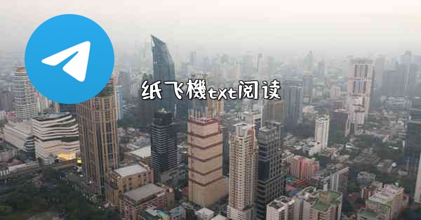 纸飞機txt阅读