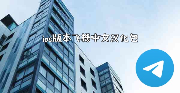 ios版本飞機中文汉化包
