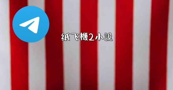 纸飞機2小說
