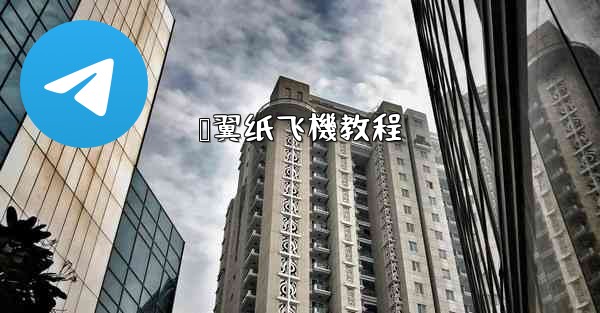 鸭翼纸飞機教程