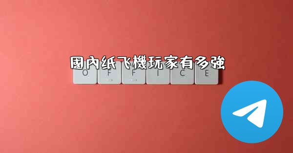 國內纸飞機玩家有多強