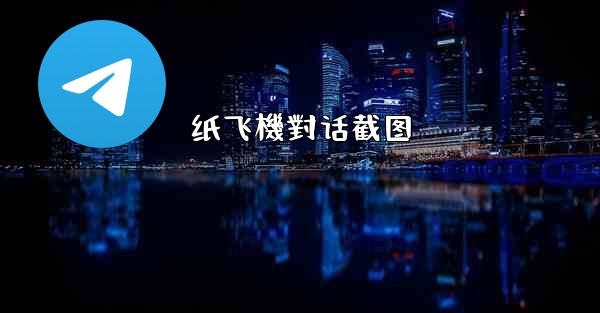 纸飞機對话截图