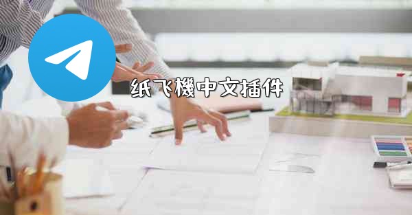 纸飞機中文插件