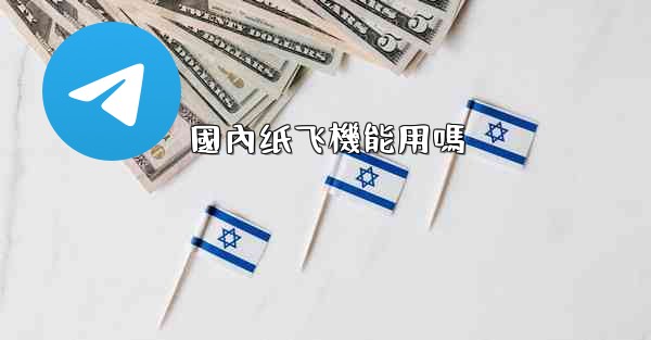國內纸飞機能用嗎