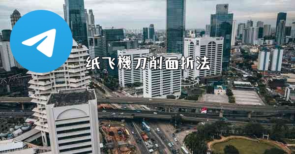 纸飞機刀削面折法