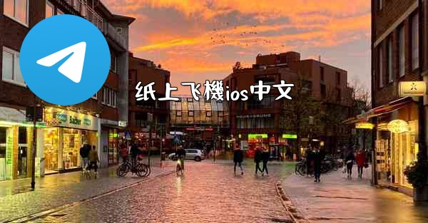 纸上飞機ios中文
