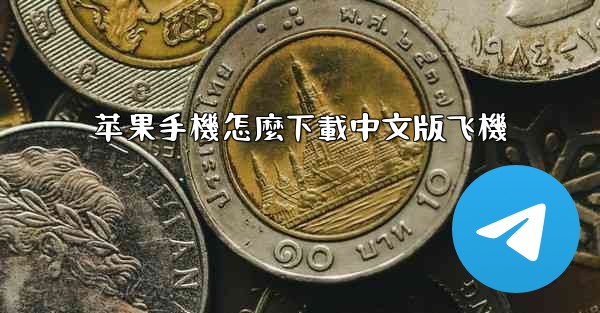 苹果手機怎麼下載中文版飞機