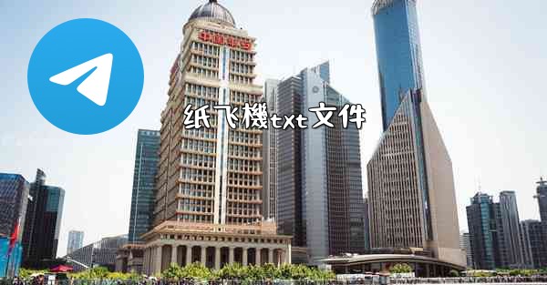 纸飞機txt文件