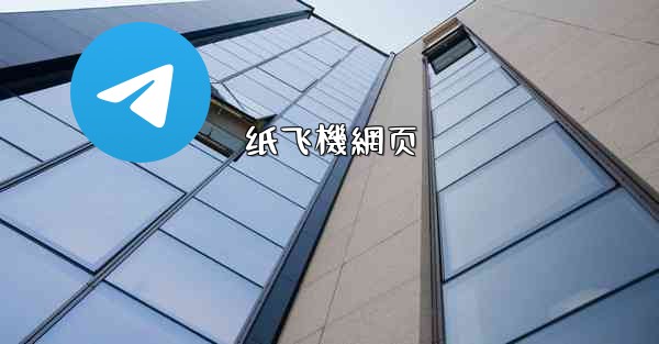 纸飞機網页
