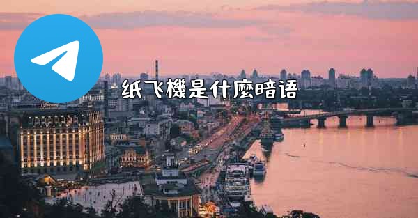 纸飞機是什麼暗语