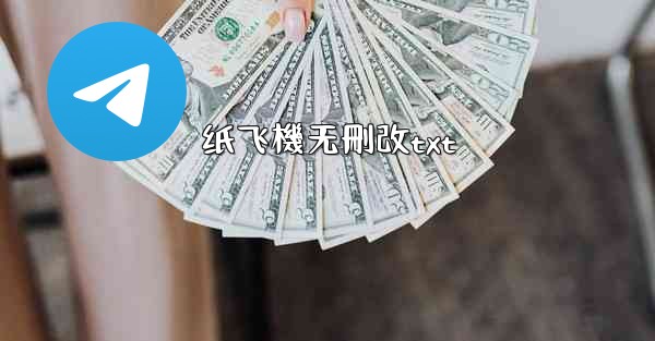 纸飞機无刪改txt