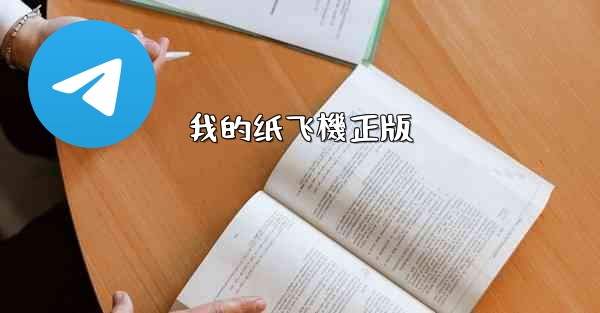 我的纸飞機正版