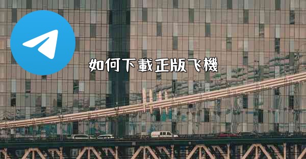 如何下載正版飞機