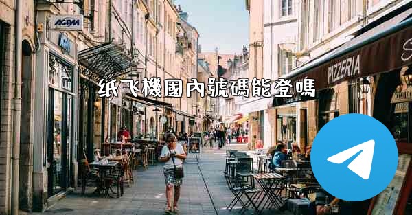 纸飞機國內號碼能登嗎