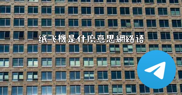 纸飞機是什麼意思網絡语