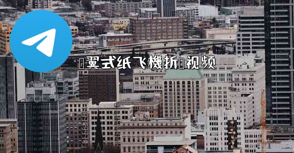 鸭翼式纸飞機折叠视频