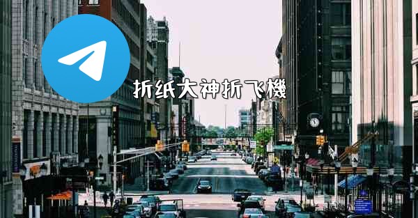 折纸大神折飞機