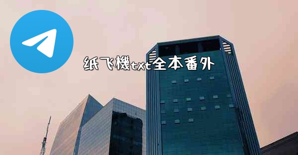 纸飞機txt全本番外