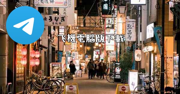 飞機電腦版下載