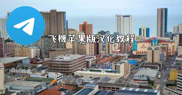 飞機苹果版汉化教程