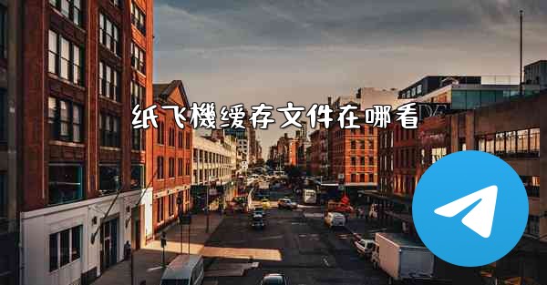 纸飞機缓存文件在哪看