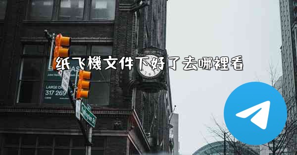 纸飞機文件下好了去哪裡看