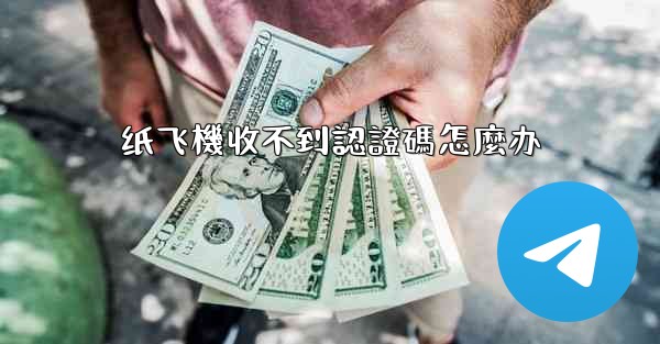 纸飞機收不到認證碼怎麼办