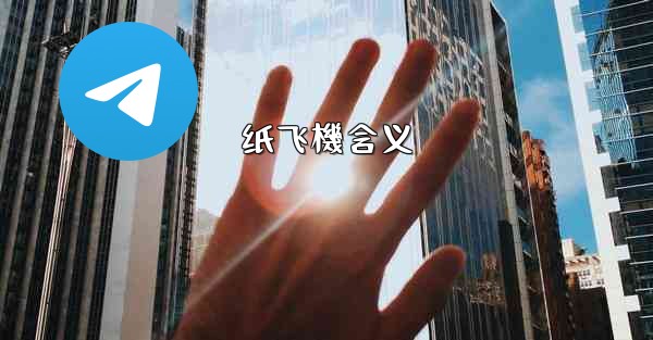 纸飞機含义