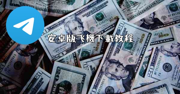 安卓版飞機下載教程