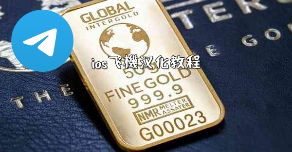 ios飞機汉化教程