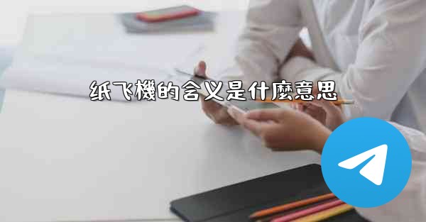 纸飞機的含义是什麼意思