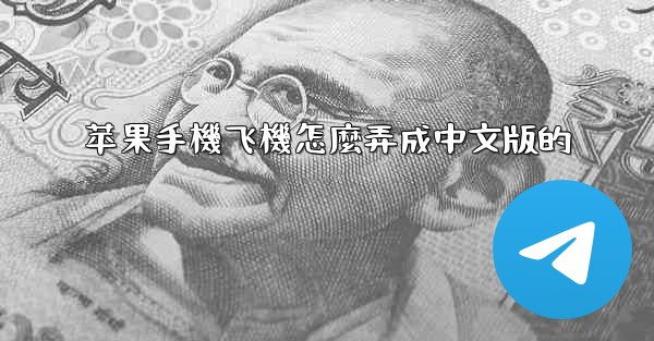 苹果手機飞機怎麼弄成中文版的