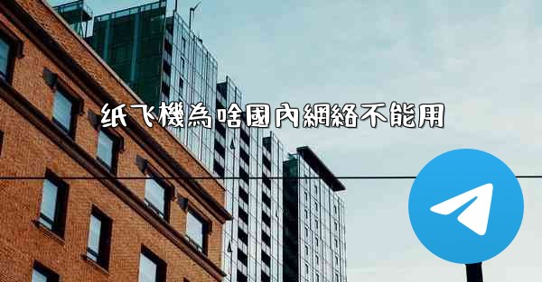 纸飞機為啥國內網絡不能用