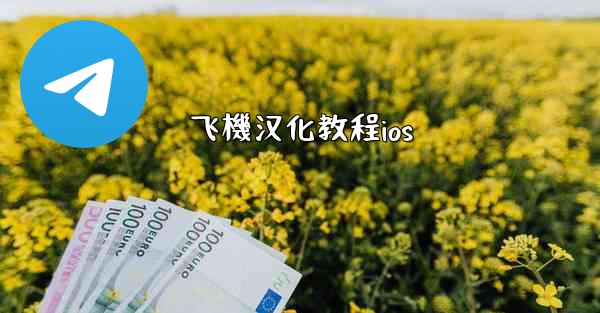 飞機汉化教程ios